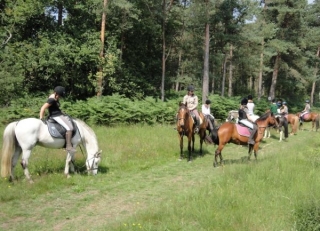 Monter a cheval a Plerguer